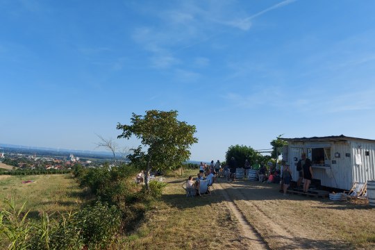 Einkehren entlang der längsten Schank der Welt, © Wienerwald Tourismus