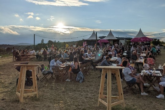 Gute Unterhaltung bei den zahlreichen WinzerInnen &amp; Betrieben, © Wienerwald Tourismus