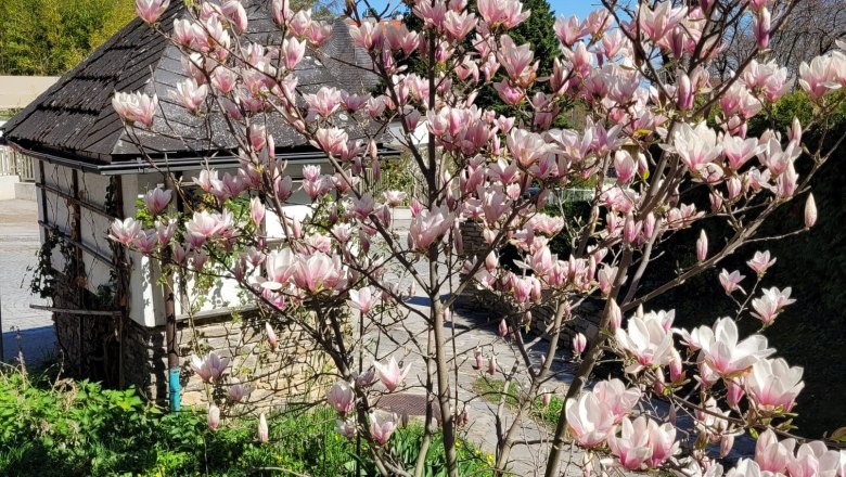 Garten_1, © Boutiquehotel Landhaus am Kurpark