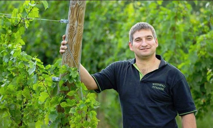 Die Weing&auml;rten werden selbst mit viel Liebe und Sorgfalt bewirtschaftet., &copy; weinbau steiner
