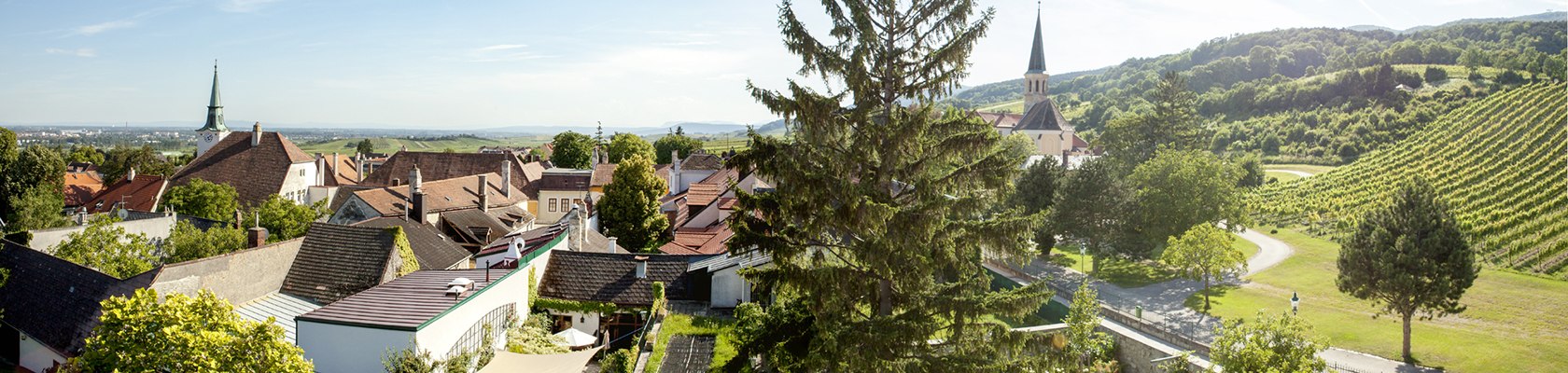 Gumpoldskirchen, © Tourismusbüro Gumpoldskirchen