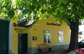 Gelbes Geb&auml;ude mit der Aufschrift 'Zum Alten Haus' und 'Weingut E. Sowik', umgeben von gr&uuml;nen B&auml;umen.