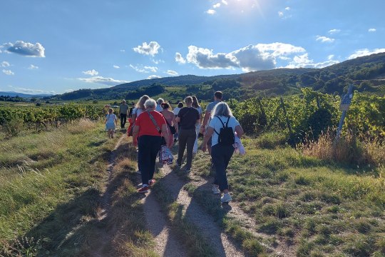 Gemütliches Wandern entlang der längsten Schank der Welt, © Wienerwald Tourismus