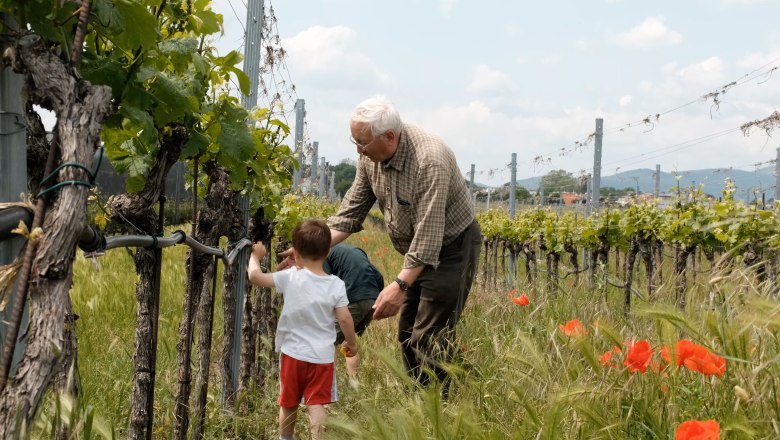 Weingut Hartl, &copy; Wienerwald Tourismus/Kerstin Semmelmeyer