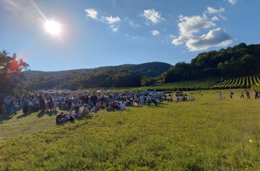 Genussmeile 2025, © Wienerwald Tourismus