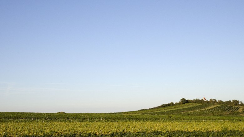 Weitere Orte, &copy; Wienerwald Tourismus/Martina Konrad Murphy