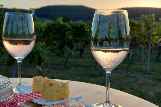 Genuss in wunderschöner Weingarten Kulisse, © Wienerwald Tourismus
