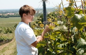 Familie Schlager, &copy; Wienerwald Tourismus/Kerstin Semmelmeyer
