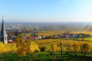 Weinherbst, © Paul Landl