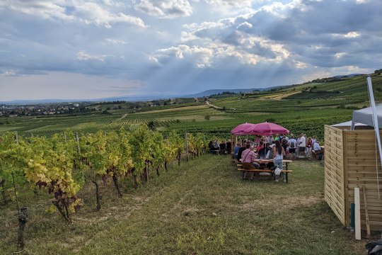 Genussmeile mit Blick auf Abschnitt Pfaffstätten, © Wienerwald Tourismus