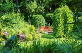 Ein grüner Garten mit einer roten Bank, umgeben von Büschen und Blumen.