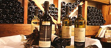 Weinflaschen auf einem Tisch in einem Weinkeller.