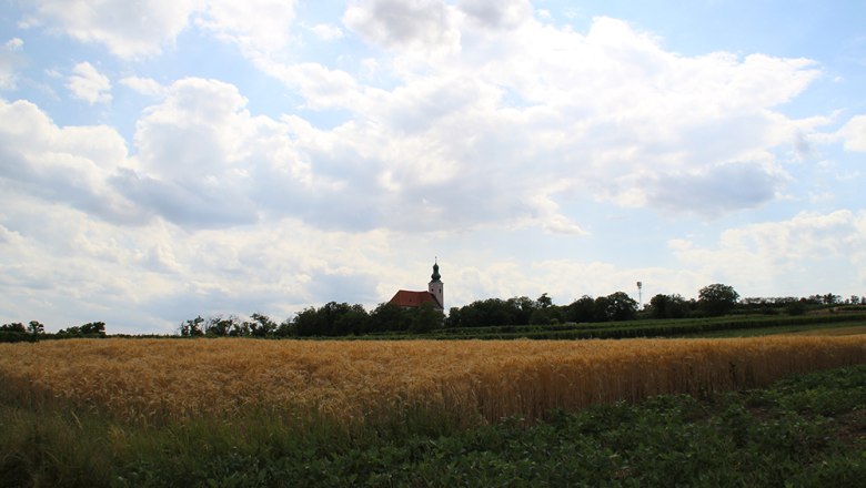 Feld mit Kirche, © Marktgemeinde Reisenberg