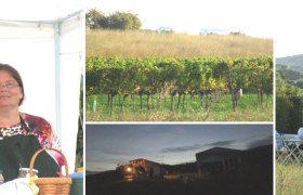 Menschen an einem Stand auf der Genussmeile 2014, Weinreben und Landschaft im Hintergrund.