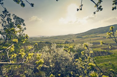 Landschaft, © Niederösterreich Werbung/Andreas Hofer