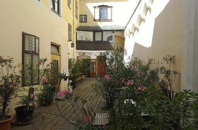 Ein sonniger Innenhof mit Pflanzen und Sitzgelegenheiten.