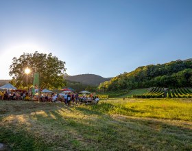 Genussmeile, © Wienerwald Tourismus/Dehelean