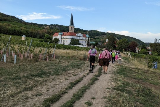 Wandern bei Gumpoldskirchen, © Wienerwald Tourismus