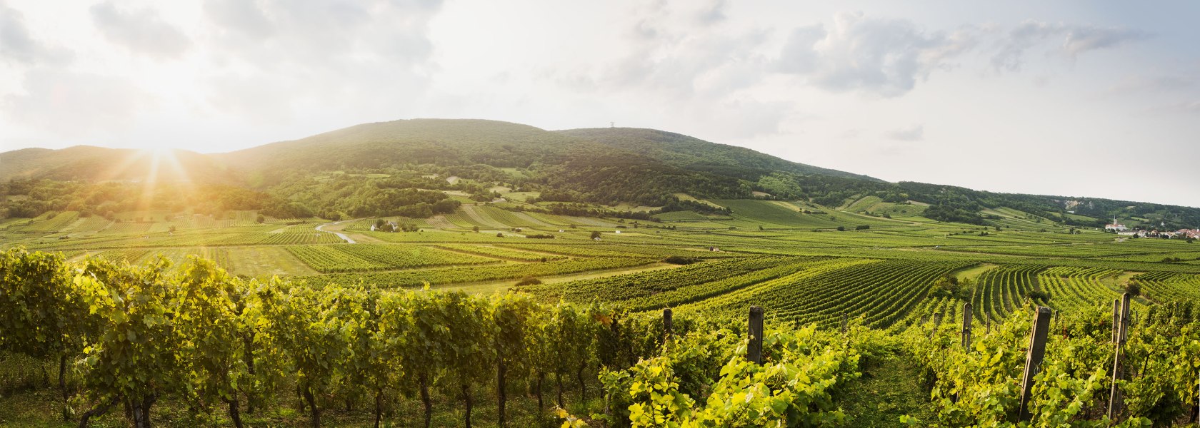 Thermenregion Wienerwald, © Niederösterreich Werbung/Michael Liebert