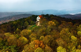 Klesheimwarte, © Sascha Schernthaner