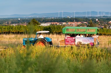 Shuttle Genussmeile, © Wienerwald Tourismus/Christian Dusek