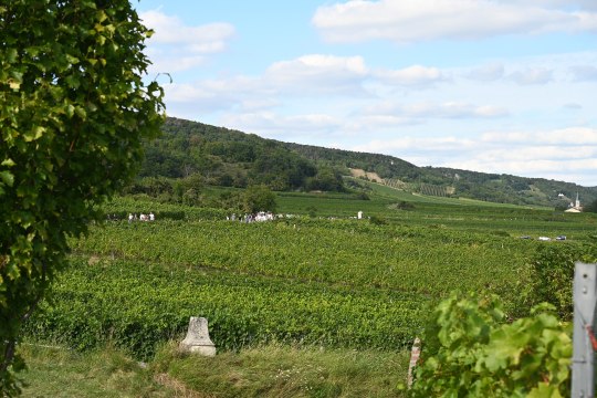 Idyllisches Wandern am 1. Wiener Wasserleitungswanderweg, © Sonja Pohl