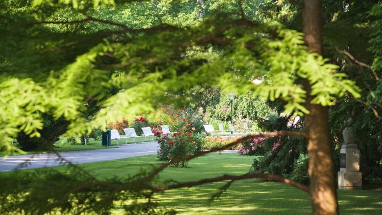 A well-kept park with benches, lawns and blooming roses, framed by green trees.