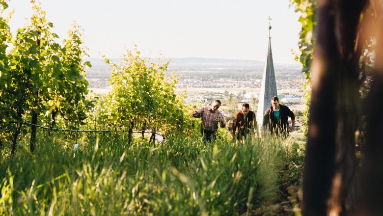 Johanneshof_Reinisch_fotografiert_von_Julius_Hirtzberger-233, &copy; Julius Hirtzberger