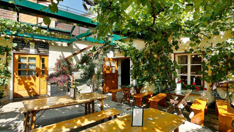 Ein gemütlicher Innenhof mit Holzbänken und Tischen, umgeben von grünen Weinreben und Pflanzen.