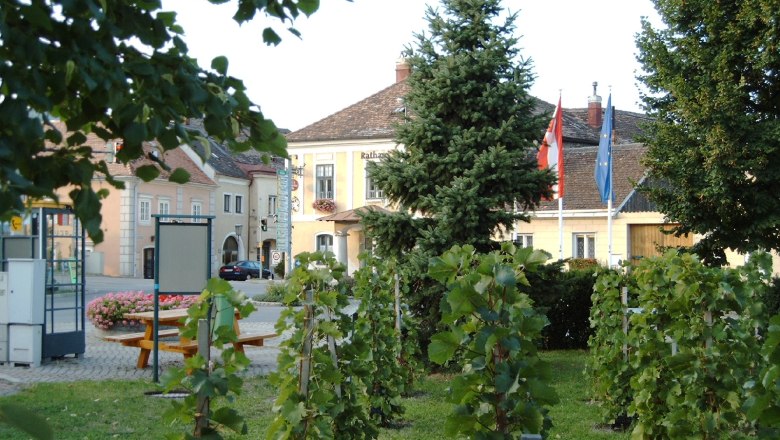 Hauptplatz in Pfaffstätten mit Rathaus, Weinreben und Flaggen.