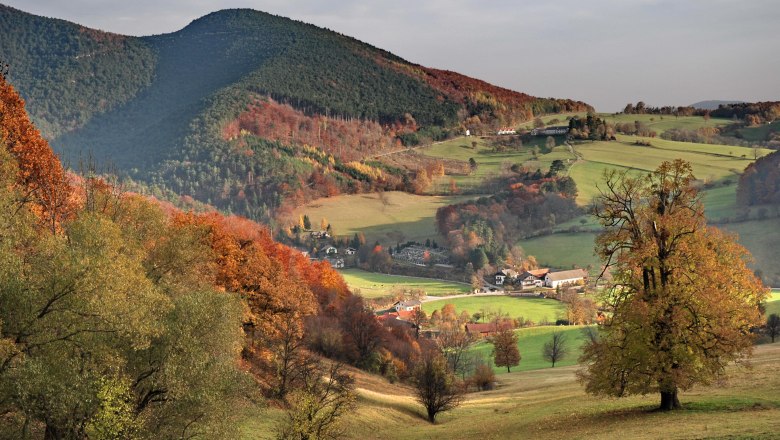 Der Wienerwald, &copy; Gasthof zur Bruthenne