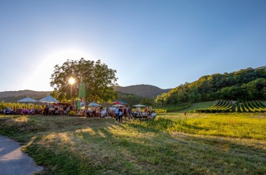 Genussmeile, © Wienerwald Tourismus/Dehelean