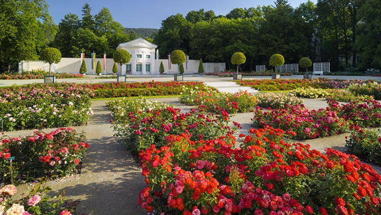 Rosengarten mit bunten Blumen und einem wei&szlig;en Geb&auml;ude im Hintergrund.