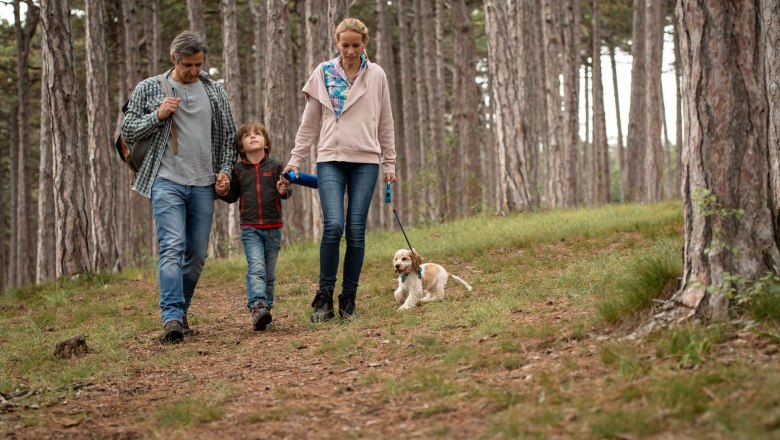 Wein.Wald.Wasser Wanderarena, &copy; Silke Ebster